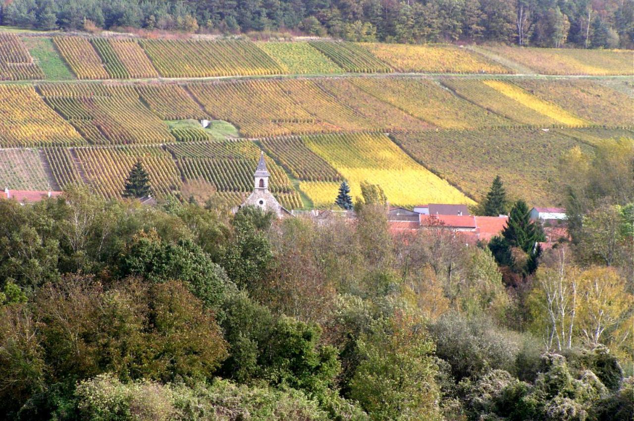Un Coin De Foret Courmas Kültér fotó